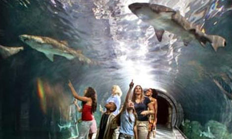 The NJ Aquarium