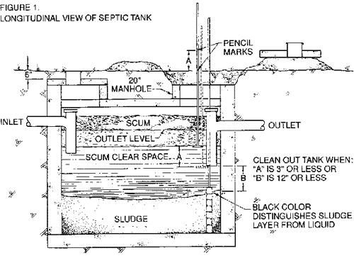 Septic System Diagram