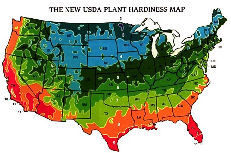 USDA Plant Hardiness Map - Click to View